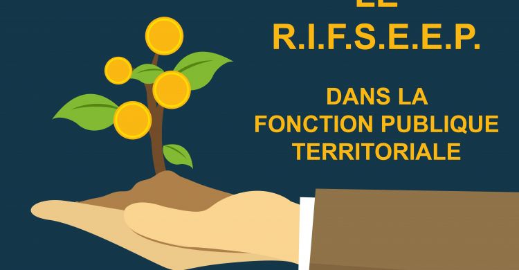 Reforme Du Regime De La Disponibilite Dans La Fonction Publique