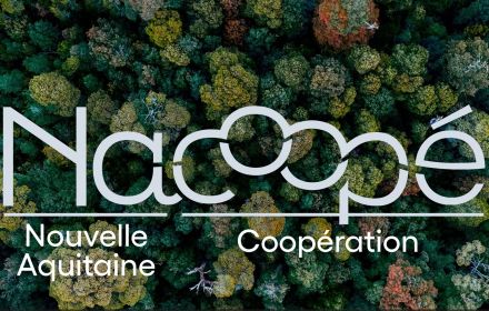 Le 26 janvier 2024 : lancement de l'identité visuelle de NACOOPE